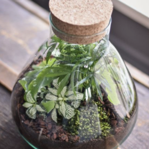 Terrarium Bar Build