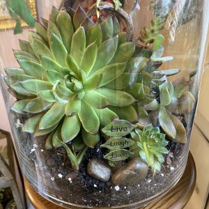 Succulent Terrarium Live Laugh Love