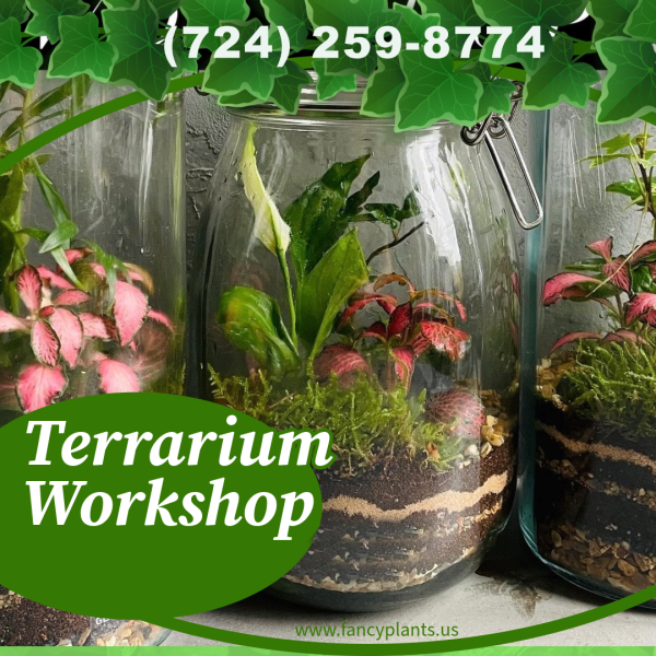 Terrarium Workshop